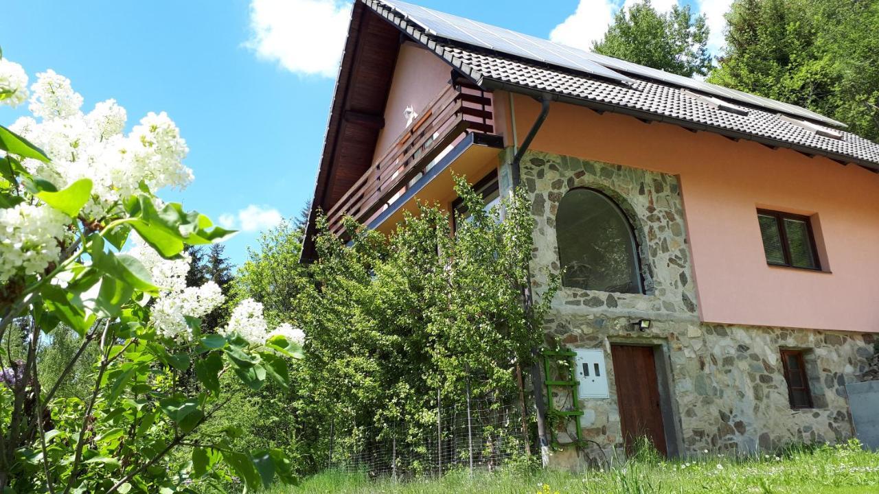 Country House & Spa Mislinja Exterior photo